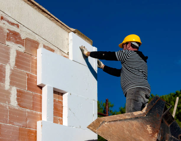 Professional Insulation Contractor in Twin City, GA