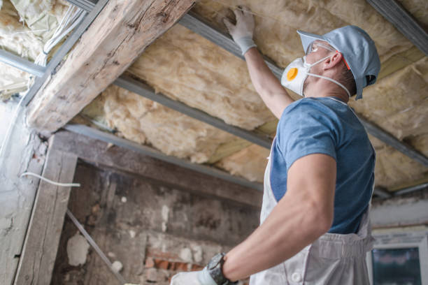 Best Blown-in Insulation in Twin City, GA
