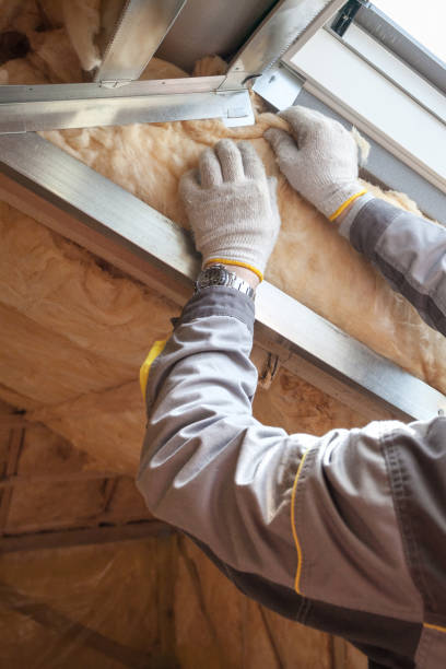 Types of Insulation We Offer in Twin City, GA