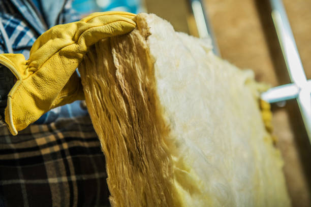 Best Residential Insulation in Twin City, GA