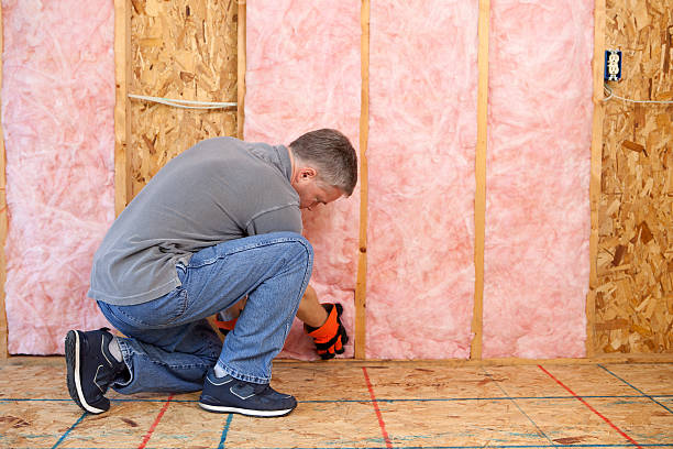 Best Specialized Insulation Services in Twin City, GA