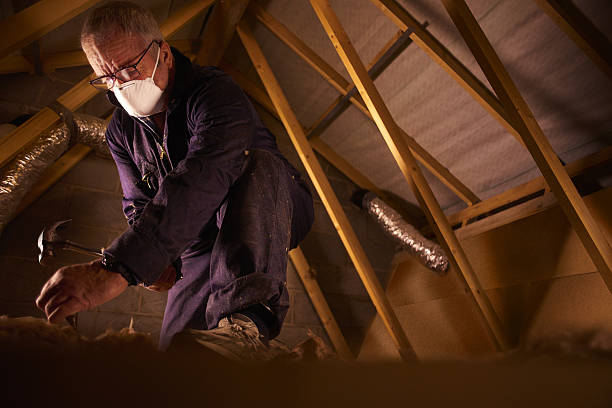 Best Geographic-Specific Insulation Services in Twin City, GA